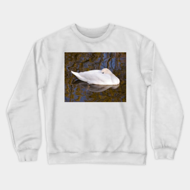 Sleeping Beauty Crewneck Sweatshirt by Nigdaw